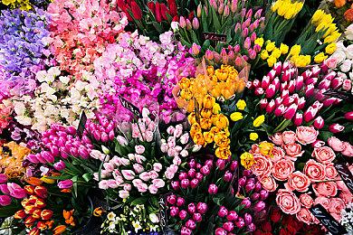 卡普空是M站2023年评分最高的发行商 质量稳定